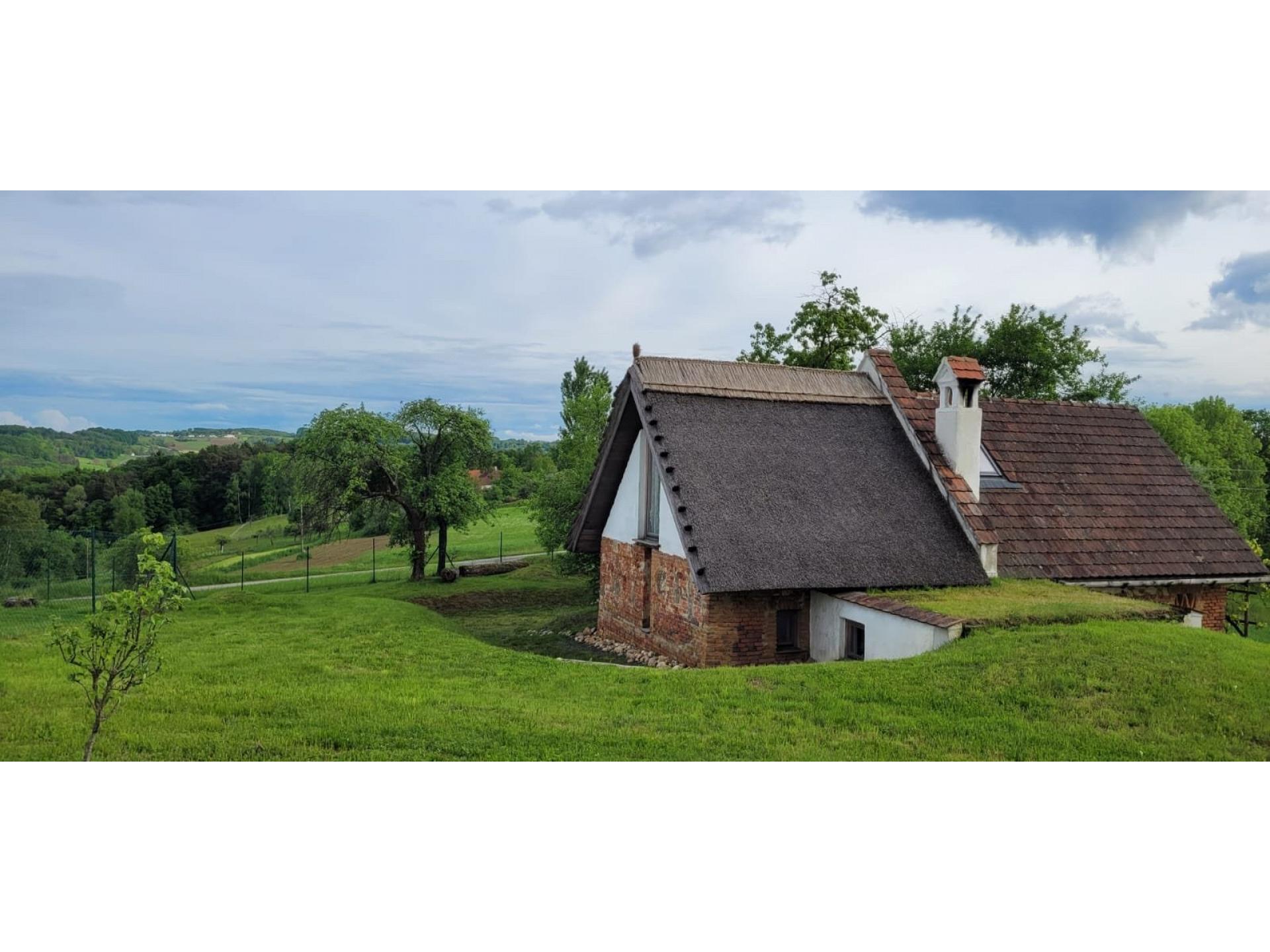 Hinteransicht