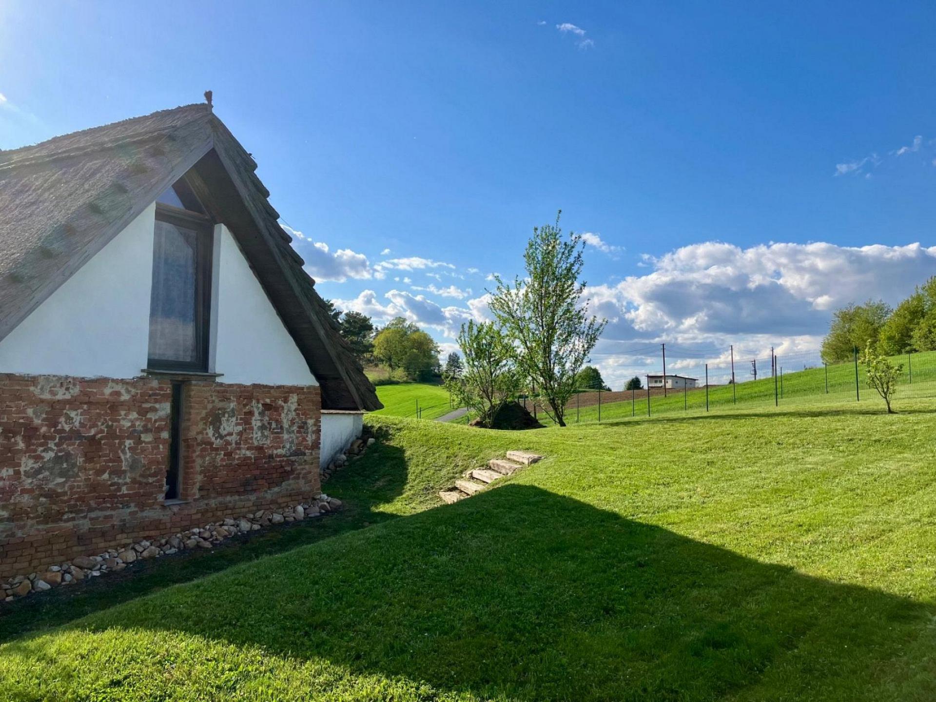 Blick in den Garten